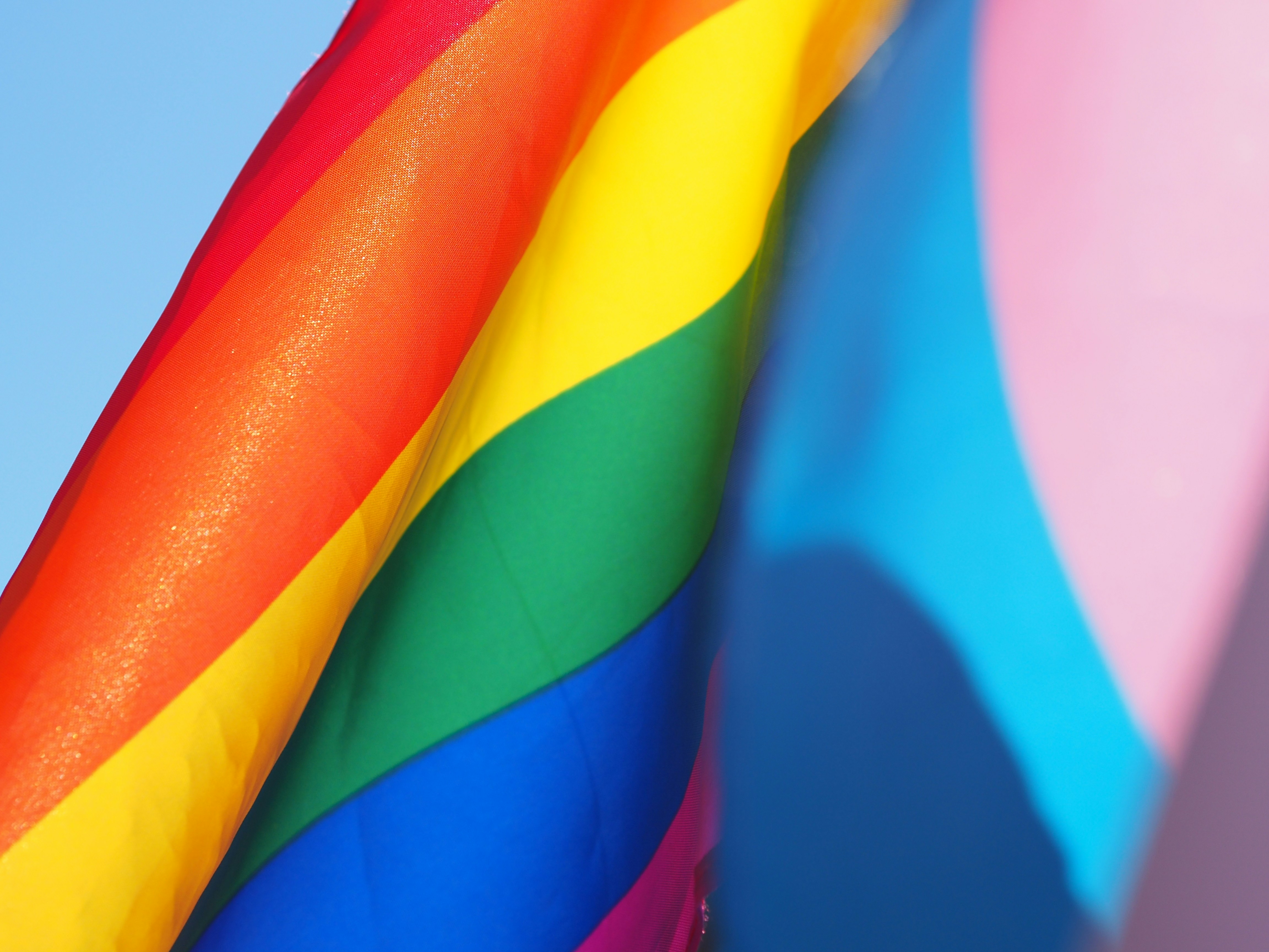 LGBTQ+ Network 
